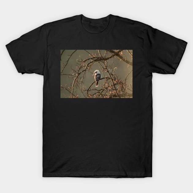 Kookaburra IV T-Shirt by DeborahMcGrath